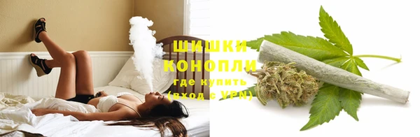 гидропоника Абаза