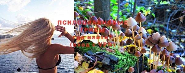 гидропоника Абаза