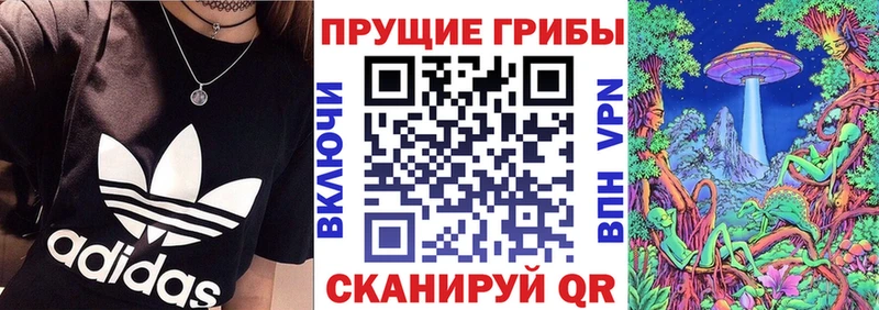 Псилоцибиновые грибы Cubensis  Весьегонск 